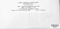 Image Associated With the Occurence